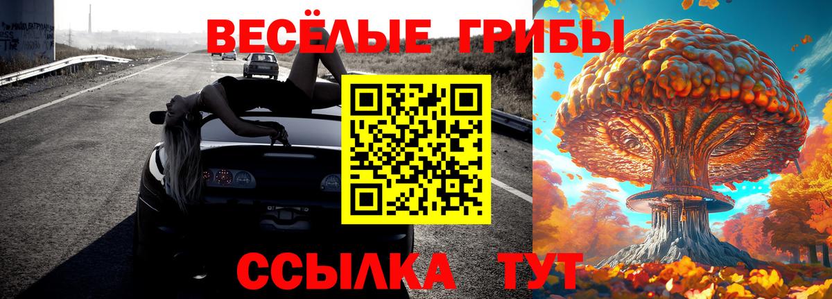 Луховицы  Галлюциногенные грибы GOLDEN TEACHER  где купить наркоту  Вход с VPN 