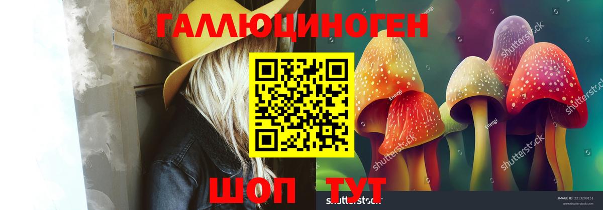 Галлюциногенные грибы Psilocybine cubensis Луховицы