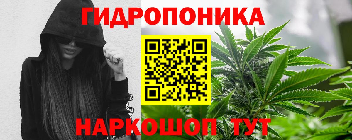 Бошки Шишки MAZAR Луховицы